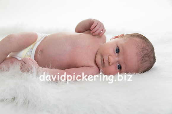 DPP_7485-29