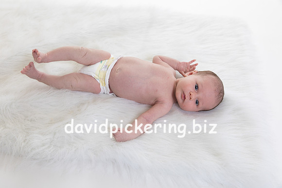 DPP_7492-31