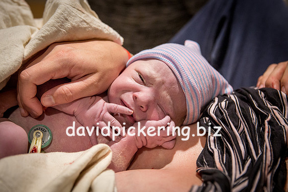 DPP_6456-217