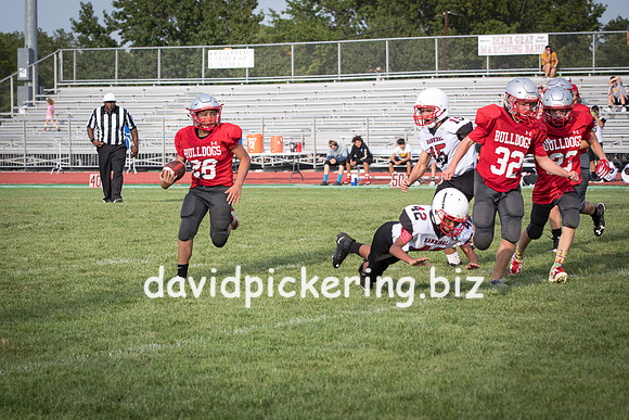 DPP_7341-47