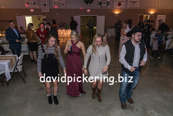 DPP_8337-254