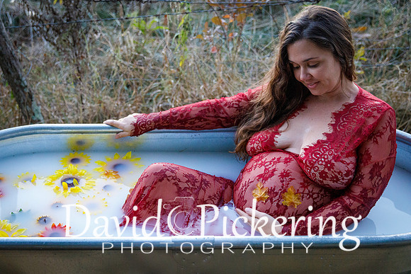 DPP_8664-161