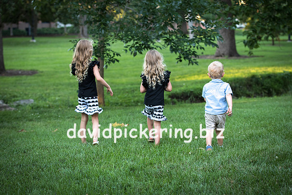 DPP_3951-39