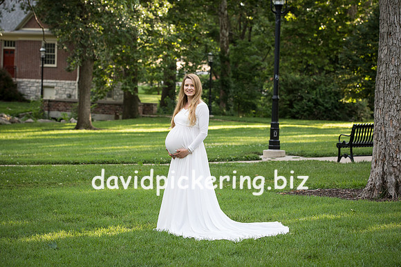 DPP_3776-11