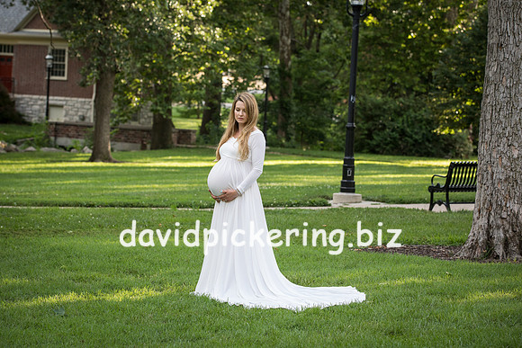 DPP_3780-12