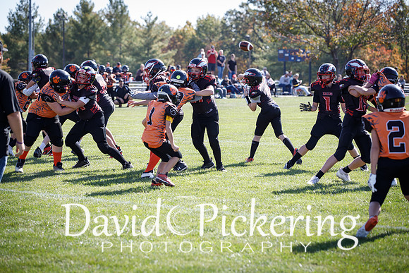 DPP_2806-48