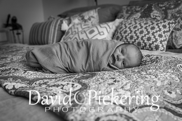 DPP_4957-57