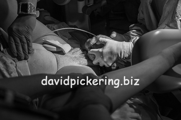 DPP_9607-49