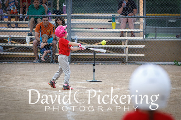 DPP_1110-21