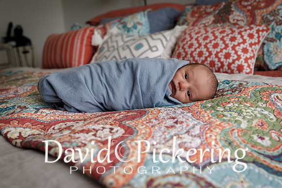 DPP_4956-56
