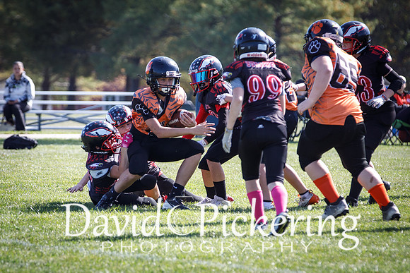 DPP_2728-26