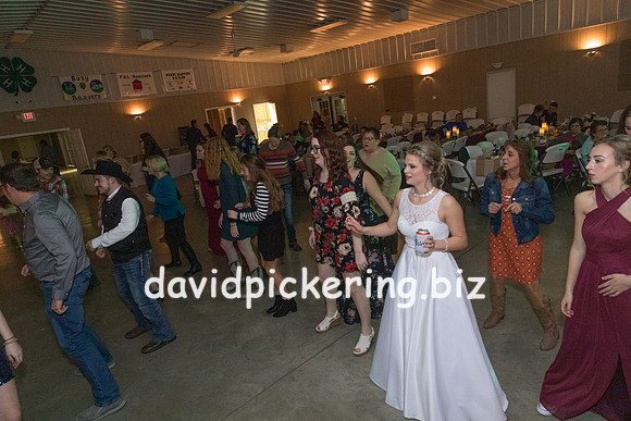 DPP_8291-243