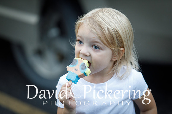 DPP_1689-119