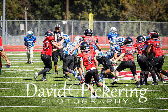 DPP_7382-17