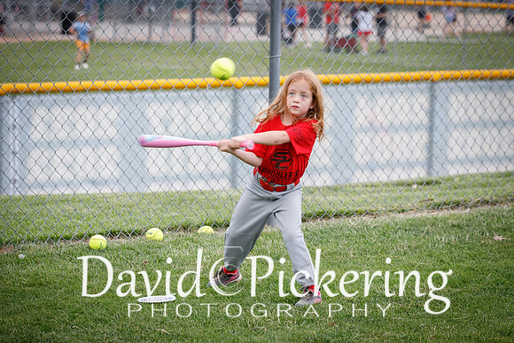 DPP_0995-1