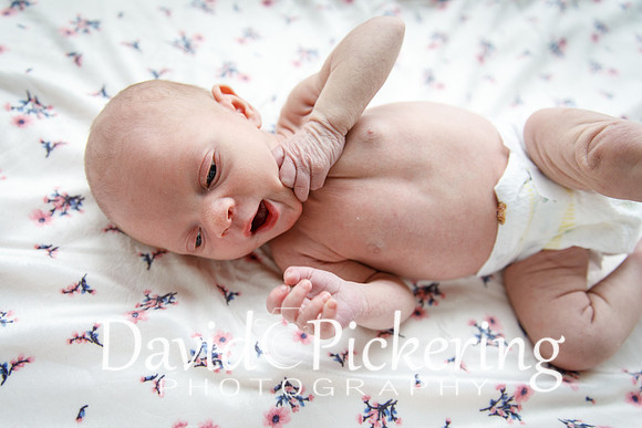 DPP_4538-55