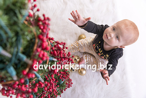 DPP_5319-16