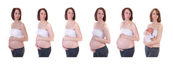 caylee timeline