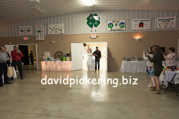 DPP_7500-42
