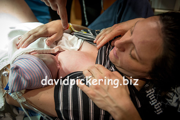 DPP_6508-238