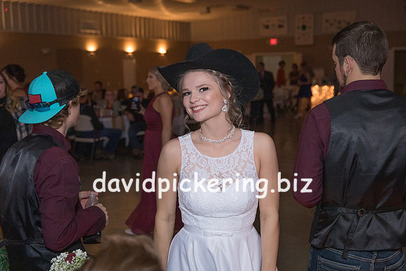 DPP_8302-245