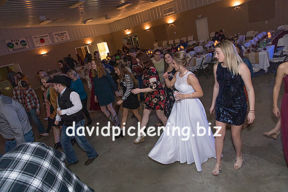 DPP_8294-244