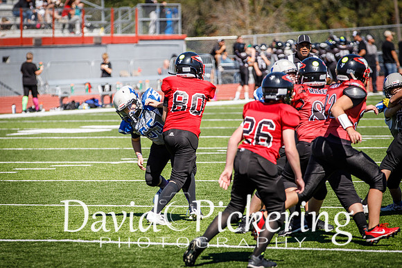 DPP_7374-16