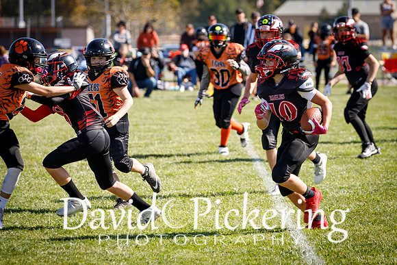 DPP_2850-57