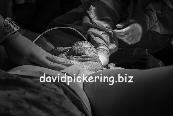 DPP_9575-43