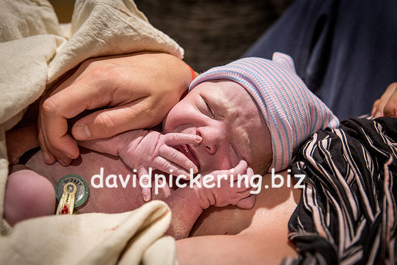 DPP_6455-216