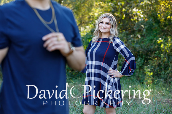 DPP_2381-40