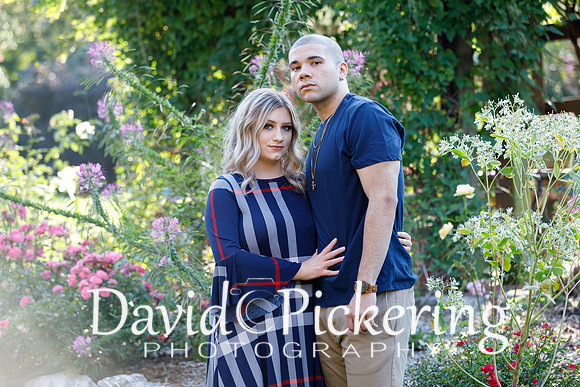 DPP_2461-57
