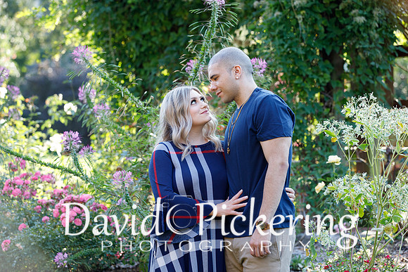 DPP_2467-59