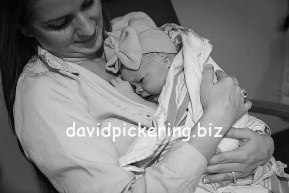 DPP_9806-105