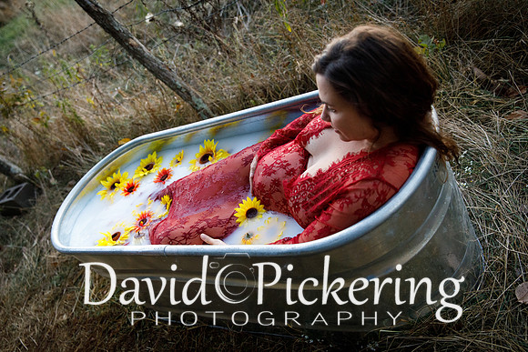 DPP_8544-132