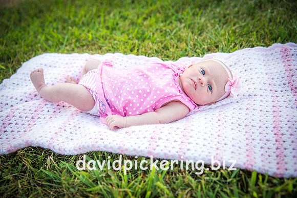 DPP_2932-22