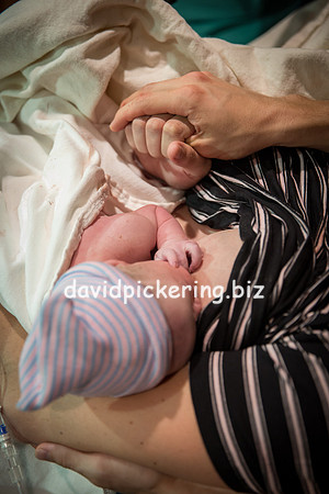 DPP_6577-271