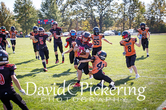 DPP_3002-85