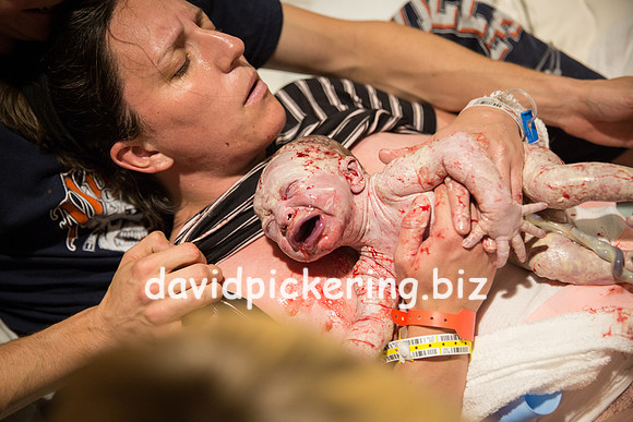 DPP_6366-181
