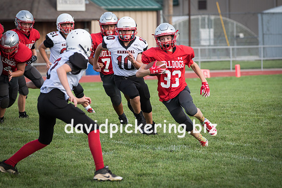 DPP_7283-32