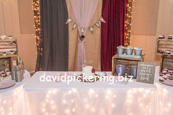 DPP_8304-246