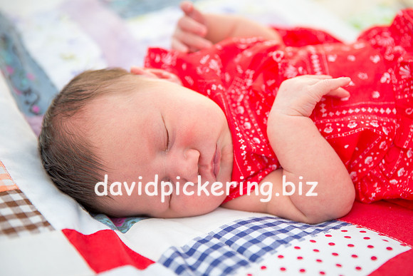 DPP_7222-12