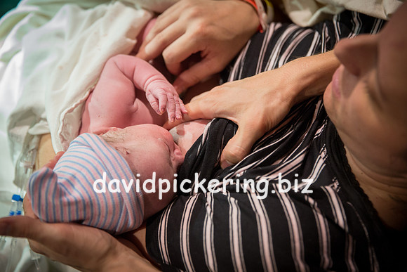 DPP_6578-272