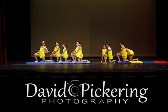 DP2_6913-239