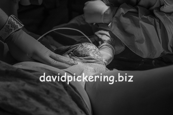 DPP_9572-42