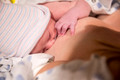 DPP_6589-6