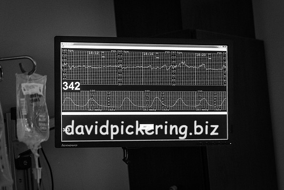 DPP_9429-6