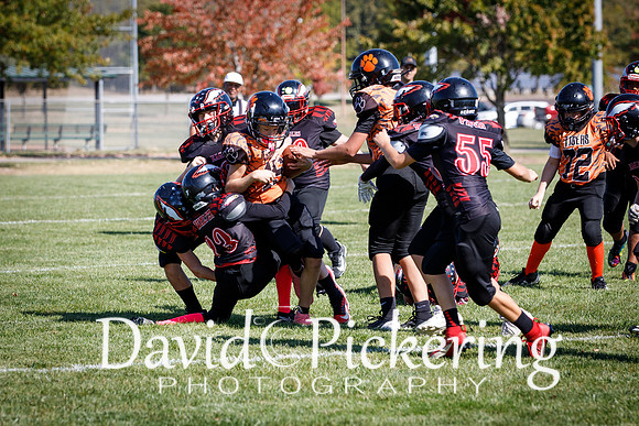 DPP_2876-66