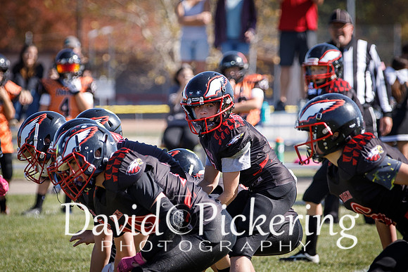 DPP_2975-77