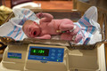 DPP_6615-20